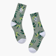 VAST 橄欖樹 復古中筒襪