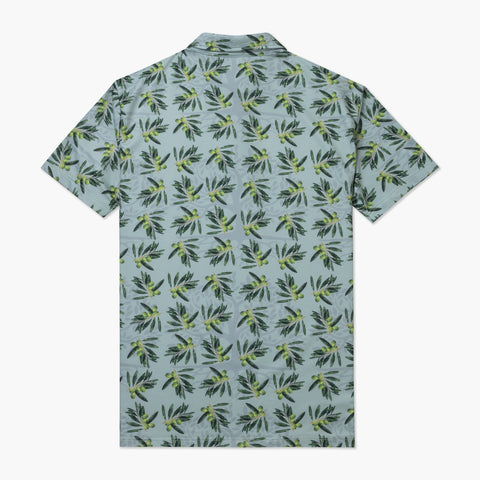 VAST 橄欖樹 防曬機能 POLO Shirt