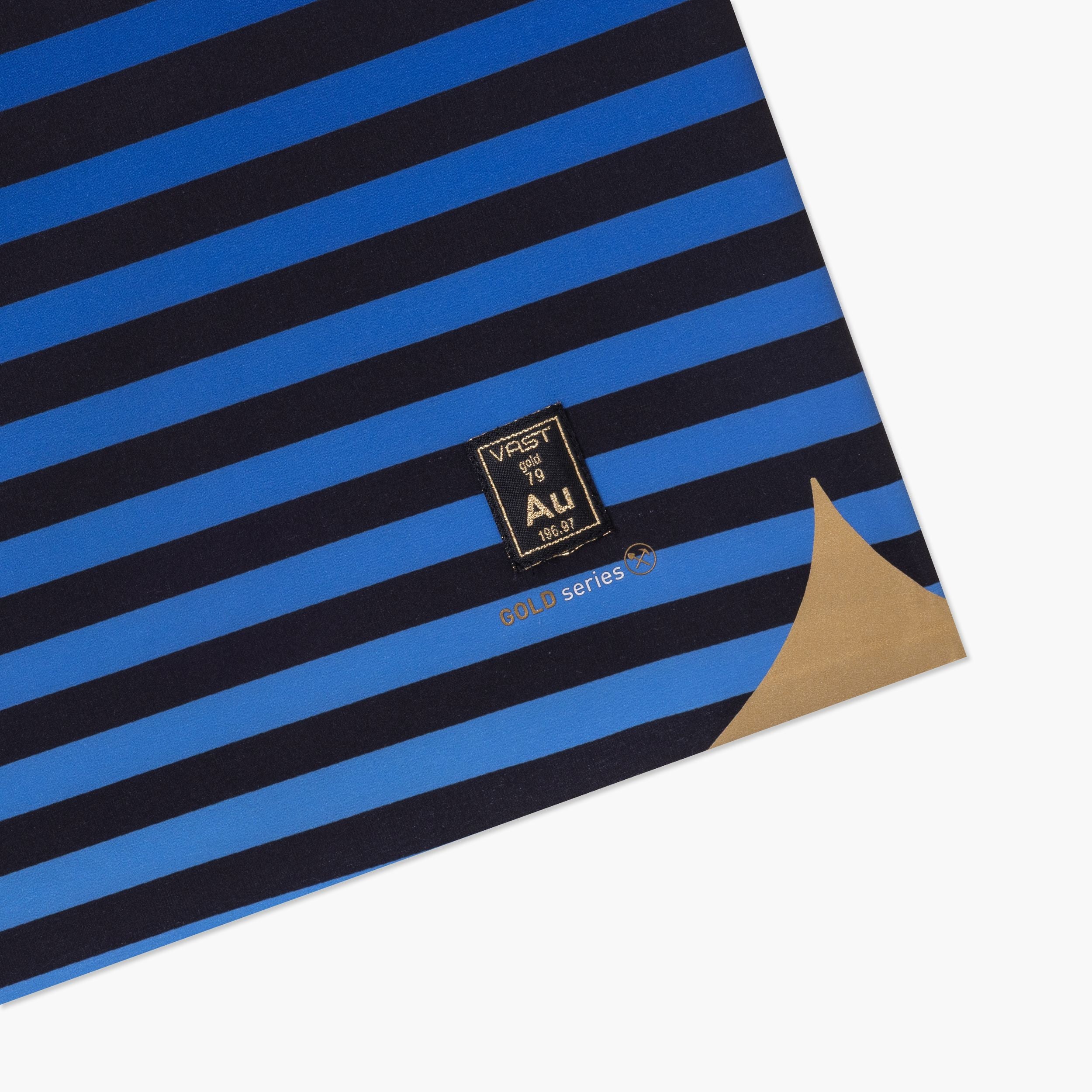 VAST Horie Stripes Gold Boardshort - 條紋 金系列 機能衝浪褲