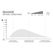 FIREWIRE Volcanic Seaside 衝浪板