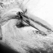 FIREWIRE Endorfins Twin+2 衝浪板舵