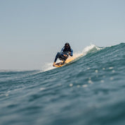 預購 Almond - The Walks On Water 衝浪板