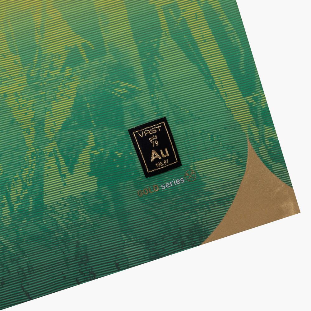 VAST 金系列機能衝浪褲 日落雷鬼