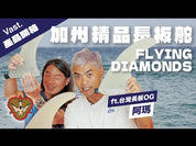 預購 Flying Diamonds TJ Power Drive 衝浪長板中舵