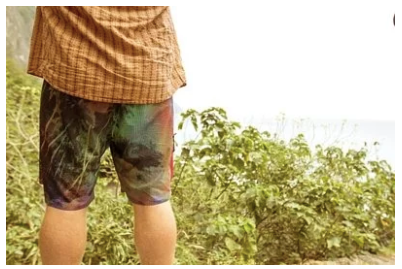 Vast Psychotic Palm Boardshorts 機能衝浪褲