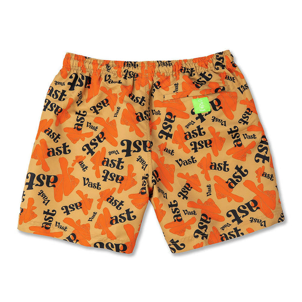 Vast Artist Volley Shorts