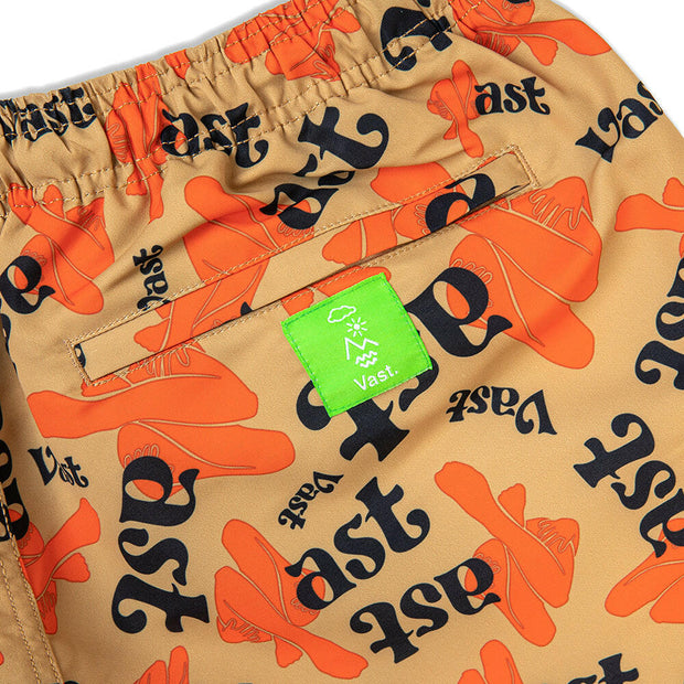 Vast Artist Volley Shorts