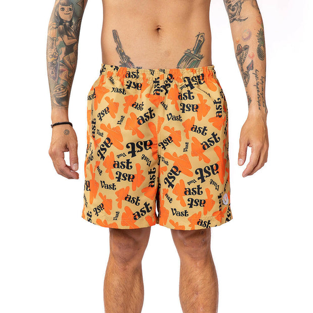 Vast Artist Volley Shorts