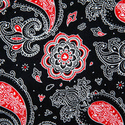 Vast Paisley Shirt - Red Multi