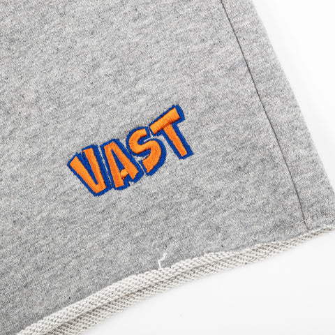 VAST Lounge Shorts - Grey 休閒運動短褲