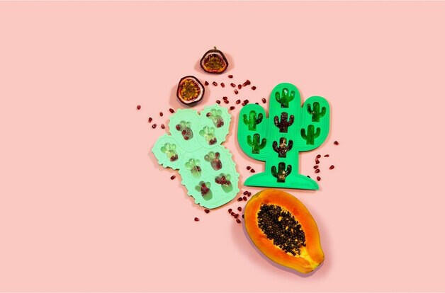 S8EICECC_ice-trays-cactus-s2-ss18_5.jpg
