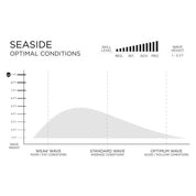 預購 FIREWIRE Volcanic Seaside 衝浪板