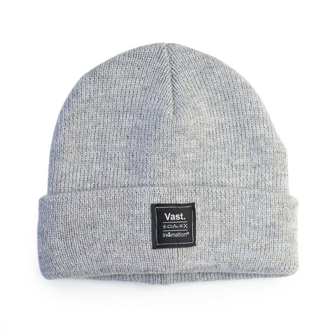 Vast x In4mation Elements Beanie - Grey