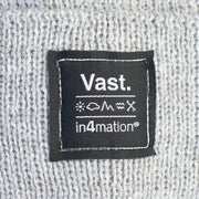 Vast x In4mation Elements Beanie - Grey