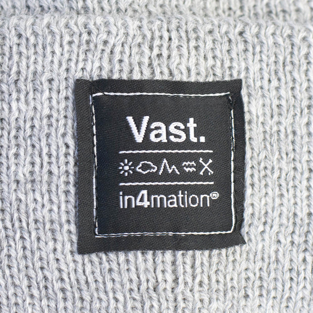 Vast x In4mation Elements Beanie - Grey