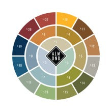 Almond A1–A21 手工調色色階對照表